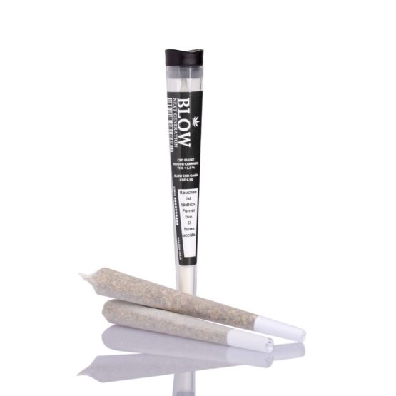 BLOW V1 Tabak & Blüten Mix Preroll