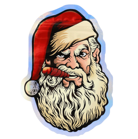 Mylar Bags Santa 1Stk.-100Stk.