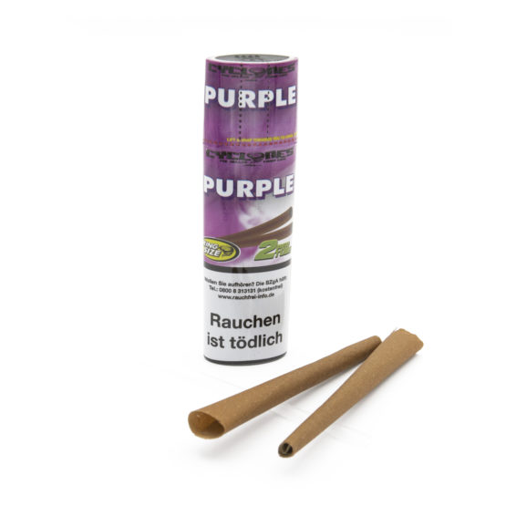 Cyclones Purple Xtra slow 2 in 1