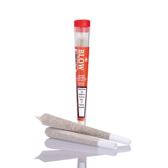 BLOW Cheese Tabak & Blüten Mix Preroll